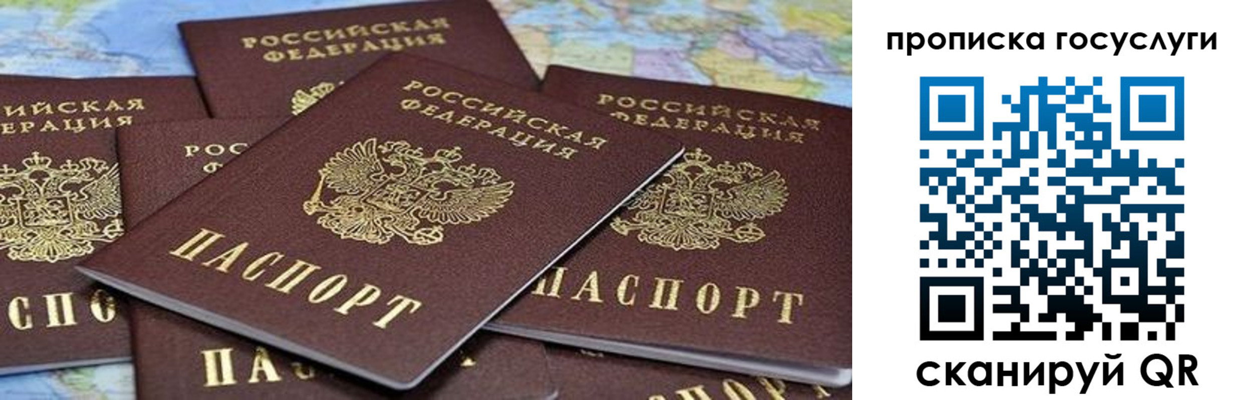 пропишу в квартире в Ногинске